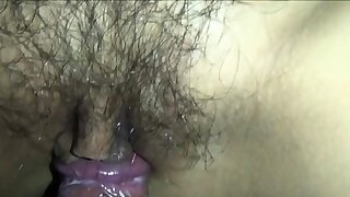 Asian hairy wet beaver screwed deep in close up